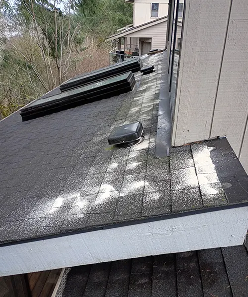 Roof Cleaning in Centralia 